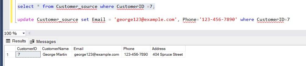 Customer_Source Type 1