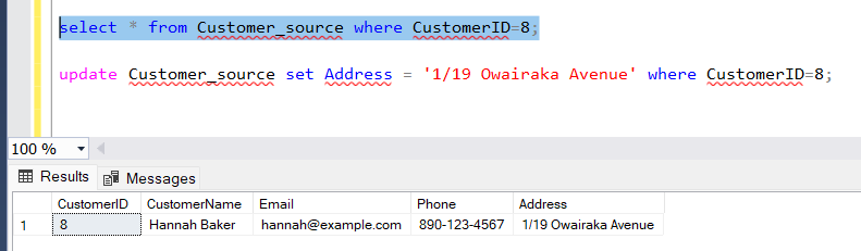 Customer_Source Type 2